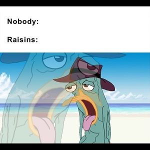 Meet your Posher, Marthew